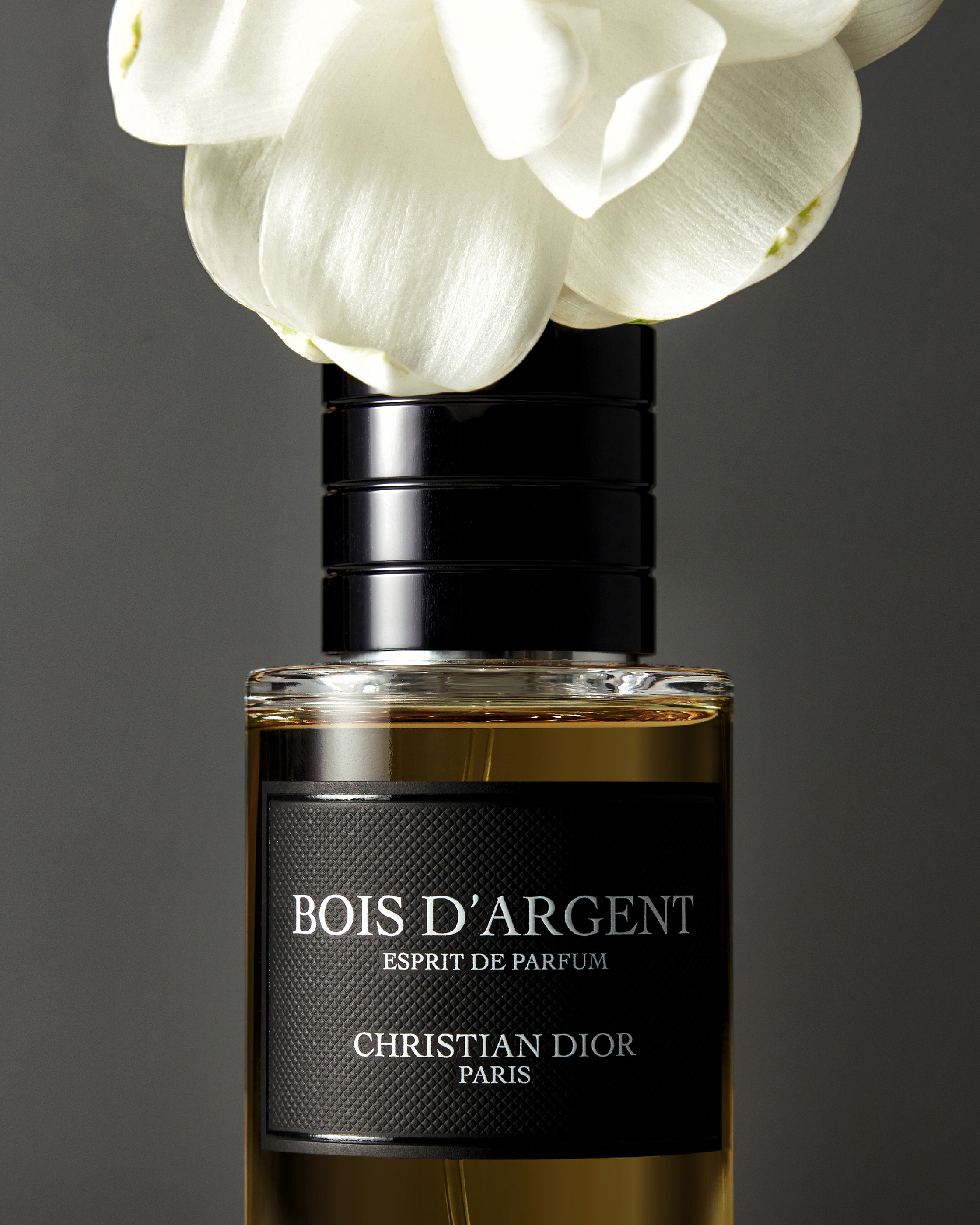화장품 촬영 – Guerlain Vetiver Wood | 이창민 스튜디오
