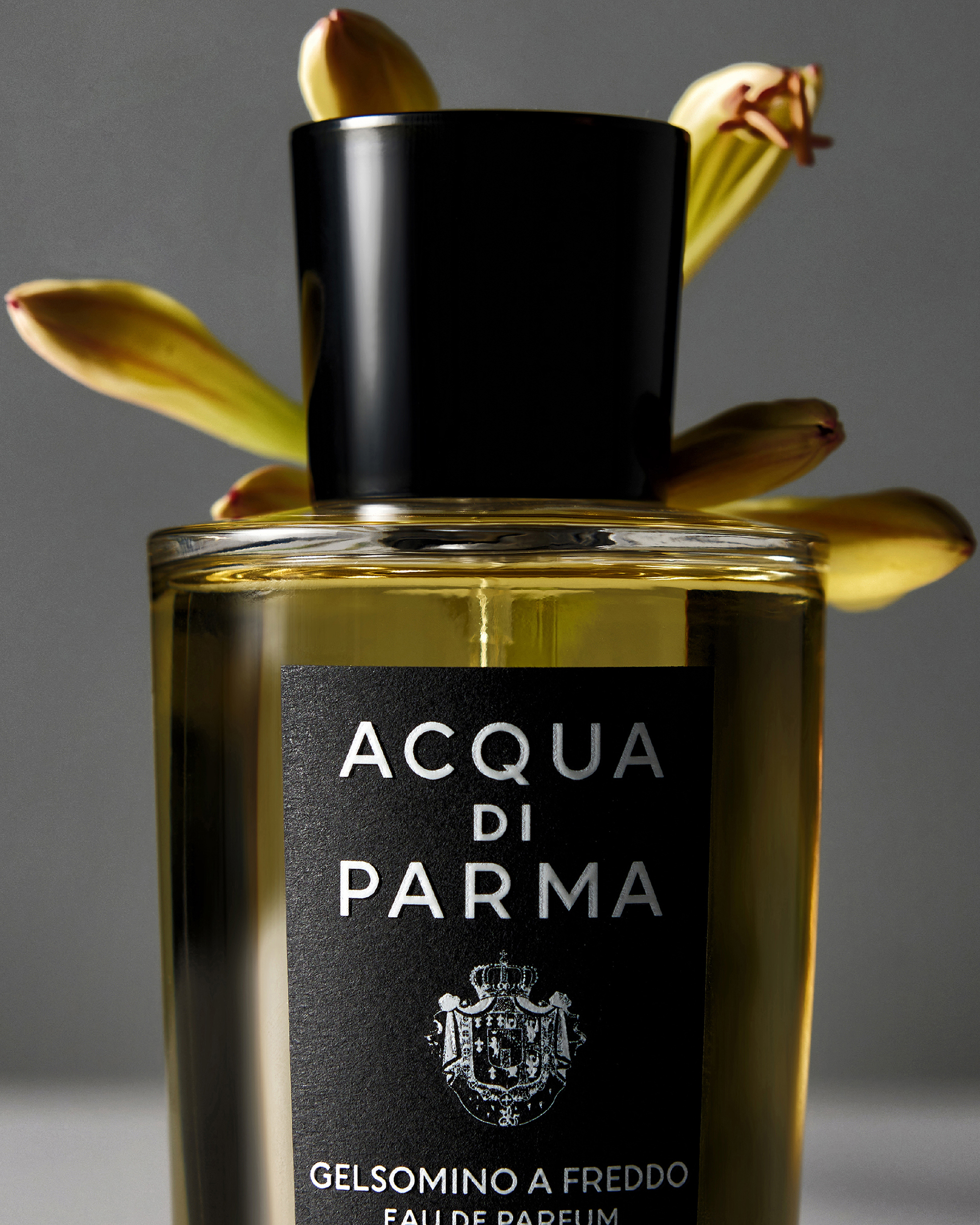 화장품 촬영 – Acqua Di Parma Jasmine | 이창민 스튜디오
